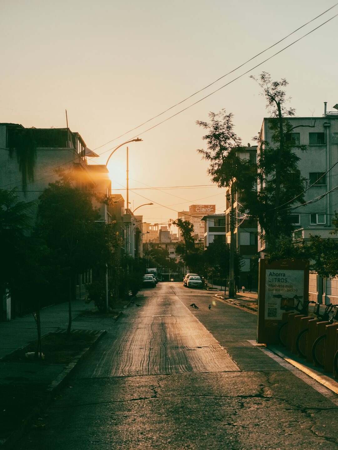 A quiet residential street in a Santiago neighborhood at dawn