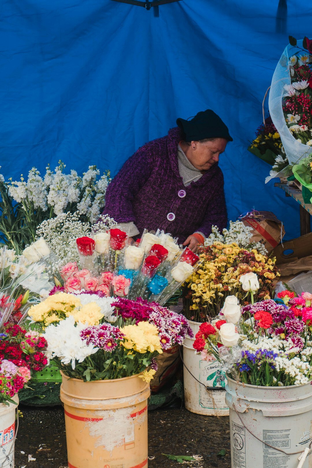 elderly woman selling flowers